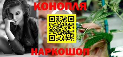 Альфа ПВП Краснознаменск