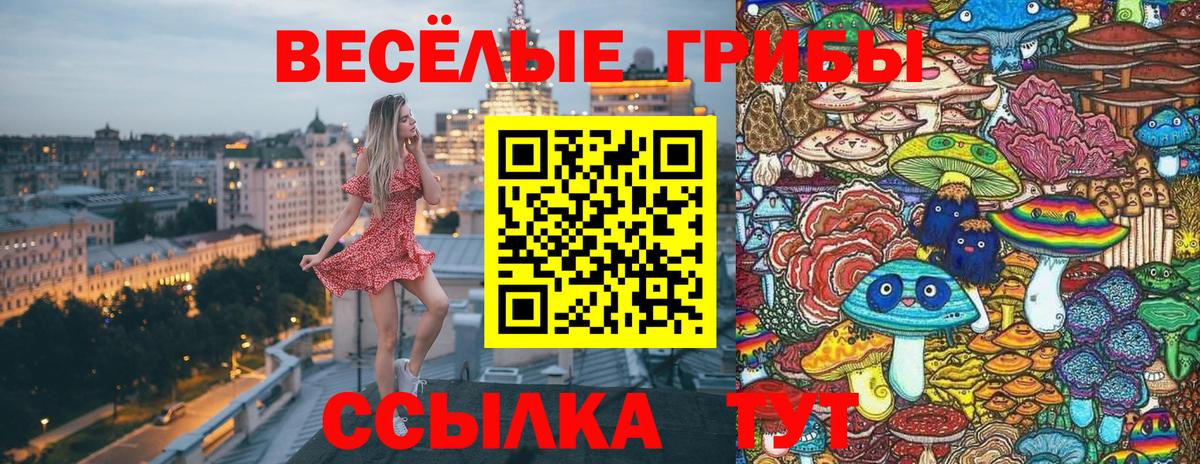 Псилоцибиновые грибы прущие грибы  Вход с VPN  Северск  Галлюциногенные грибы прущие грибы 