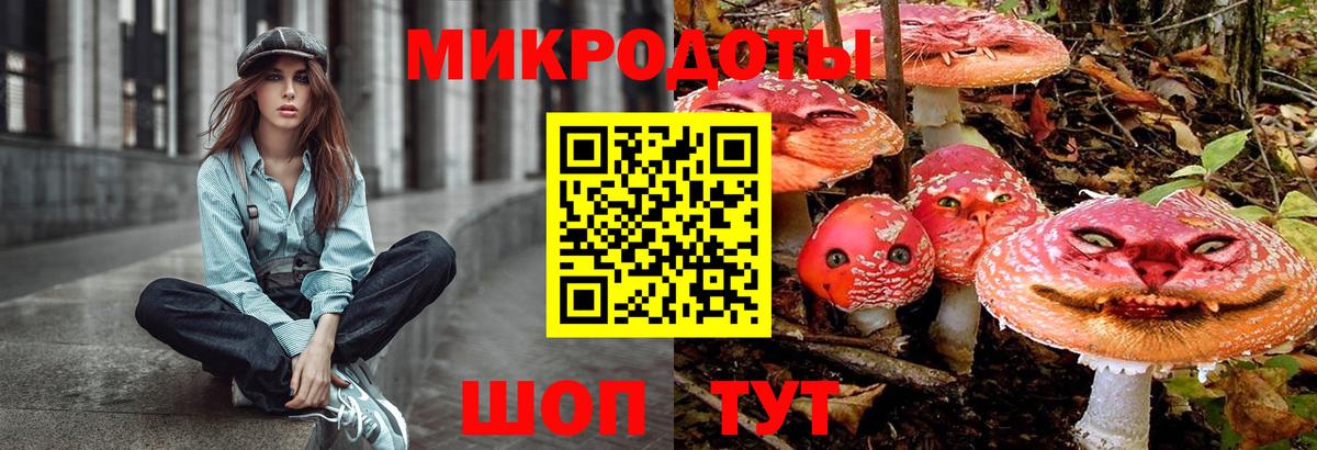 Галлюциногенные грибы Cubensis Северск